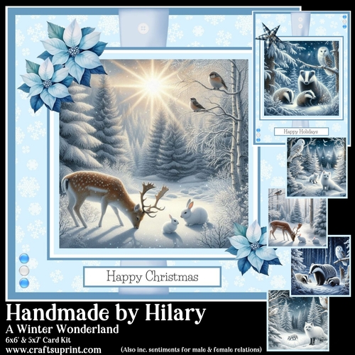 A Winter Wonderland