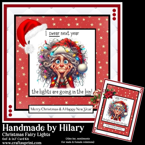 Christmas Fairy Lights