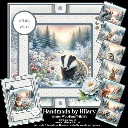 Winter Woodland Wildlife