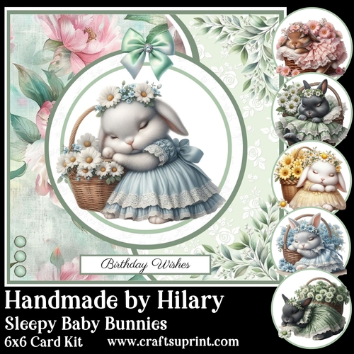 Sleepy Baby Bunnies