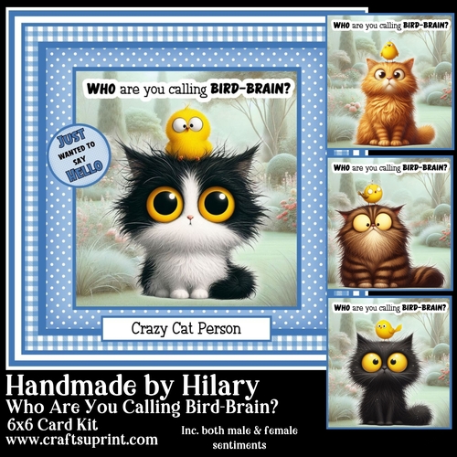 Who are you calling Bird-Brain?