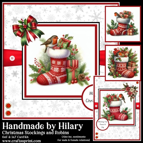 Christmas Stockings and Robins