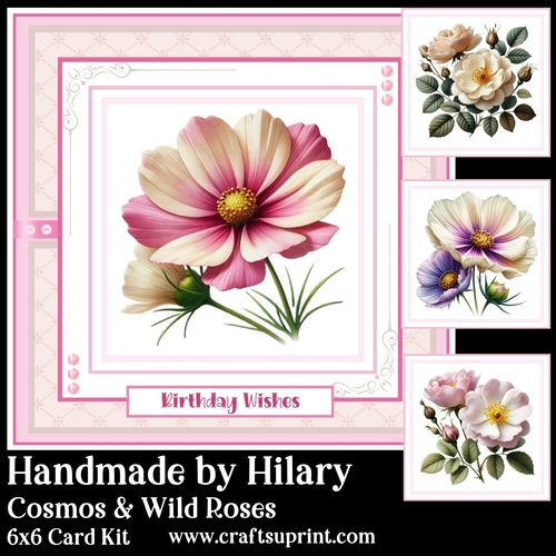 Cosmos and Wild Roses