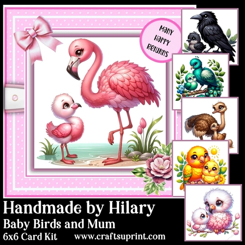 Baby Birds and Mum