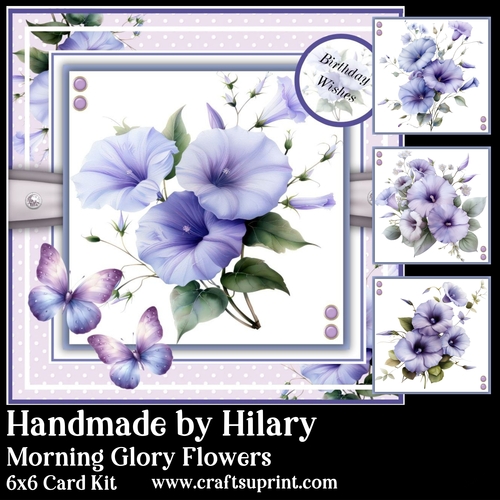 Morning Glory Flowers