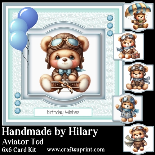 Aviator Ted