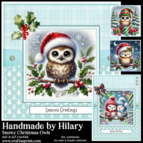 Snowy Christmas Owls