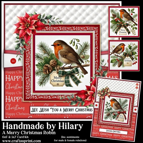 A Merry Christmas Robin