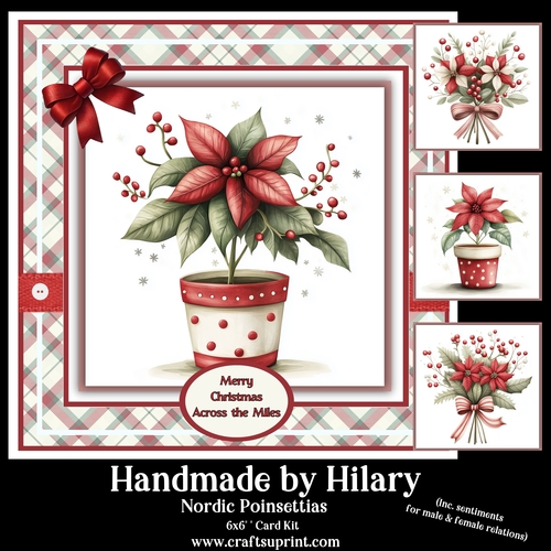 Nordic Poinsettias