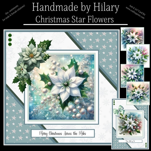 Christmas Star Flowers
