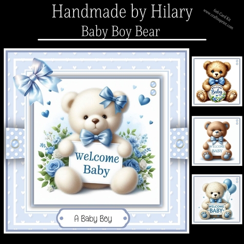Baby Boy Bear