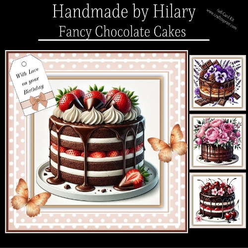 Fancy Chocolate Cakes