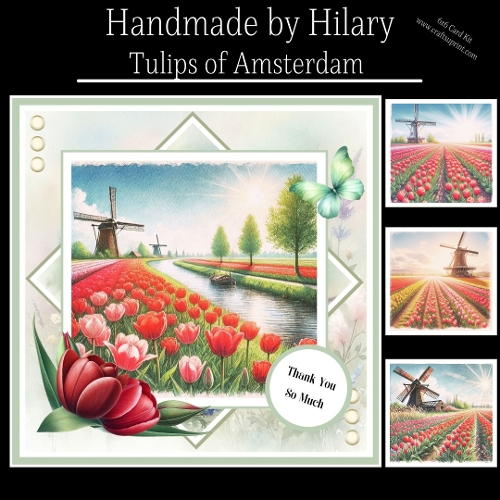Tulips of Amsterdam