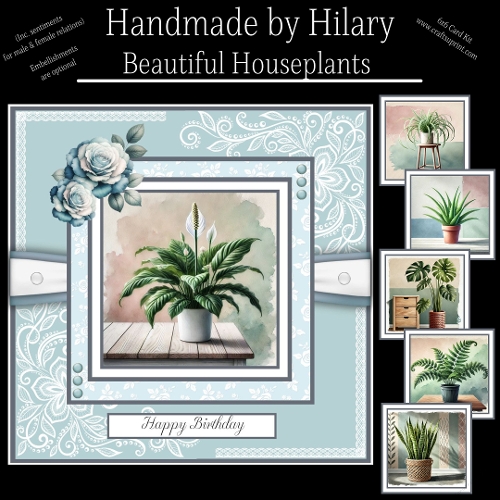 Beautiful Houseplants