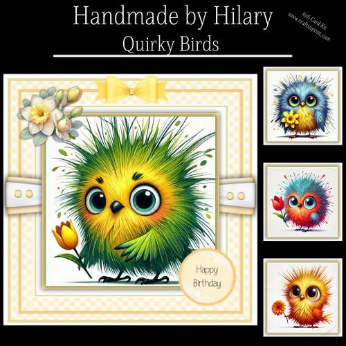 Quirky Birds