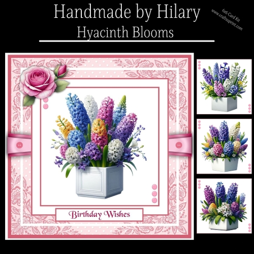 Hyacinth Blooms