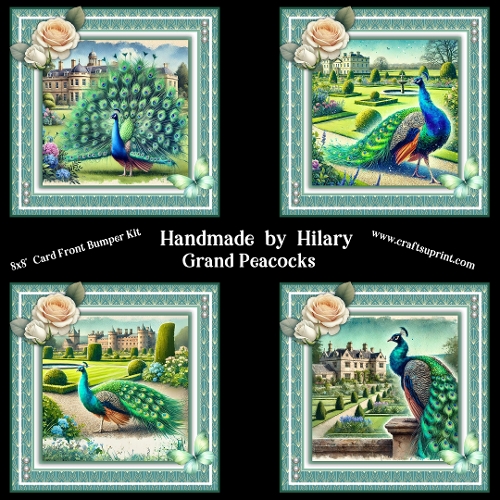 Grand Peacocks 8x8 Card Fronts