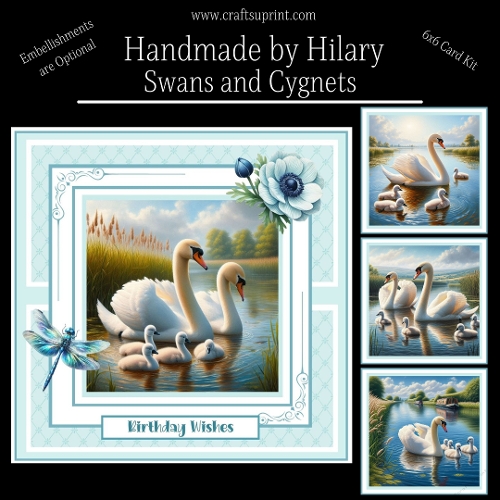 Swans and Cygnets