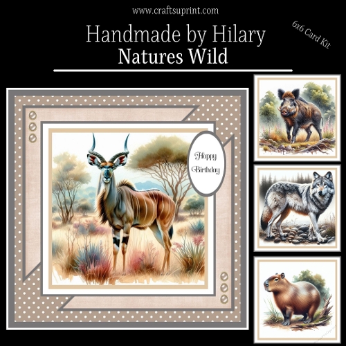 Natures Wild