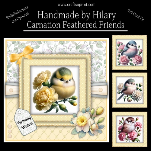 Carnation Feathered Friends 