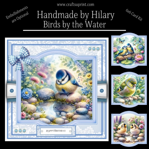 Birds by the Water