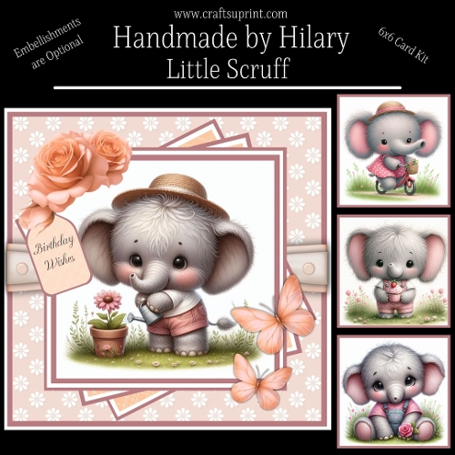 cup1377551_118824 - Little Scruff