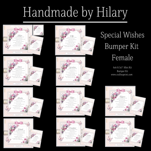 Special Wishes Bumper Kit - Female