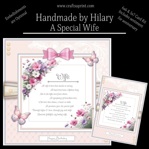 A Special Wife