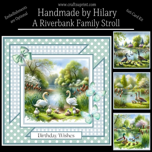 A Riverbank Family Stroll