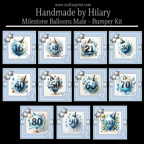 Milestone Balloons Male Bumper Kit