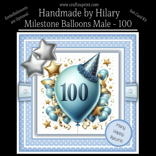 Milestone Balloons Male 100
