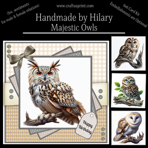Majestic Owls