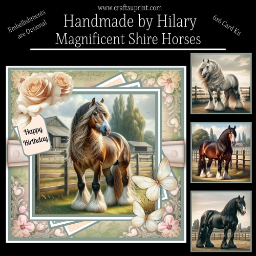 Magnificent Shire Horses
