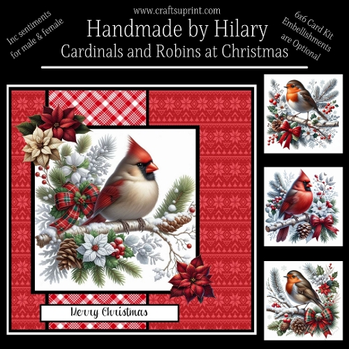 Cardinals and Robins at Christmas