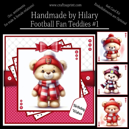 Football Fan Teddies #1