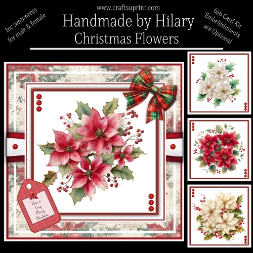 cup1393637_118824 - Christmas Flowers