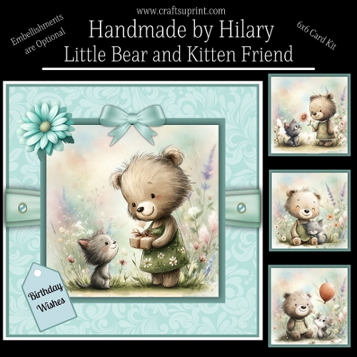 Little Bear and Kitten Friend