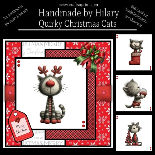 Quirky Christmas Cats