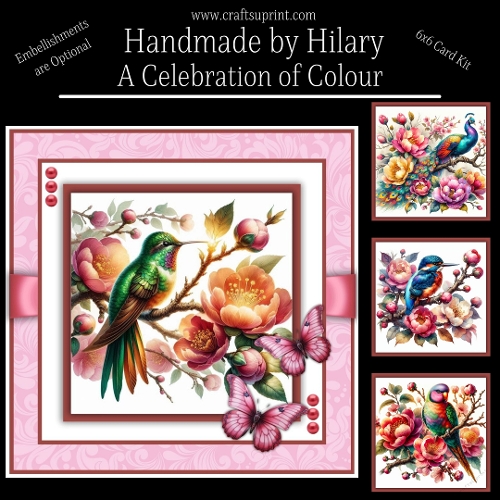 A Celebration of Colour