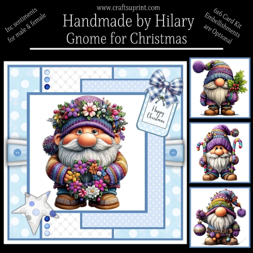 Gnome for Christmas