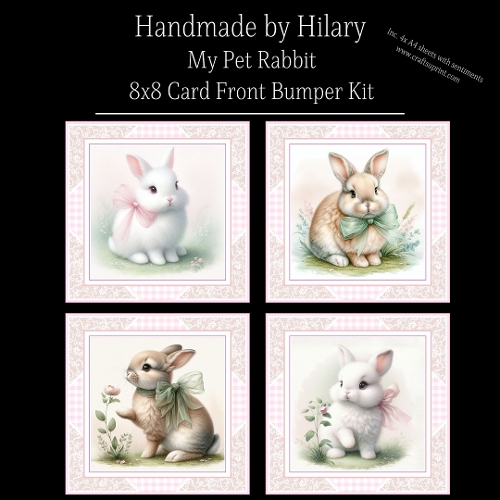 My Pet Rabbit - 8x8 Card Fronts
