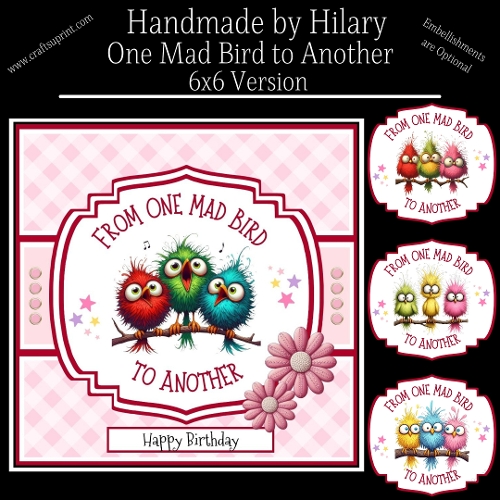 One Mad Bird to Another - 6x6 Version