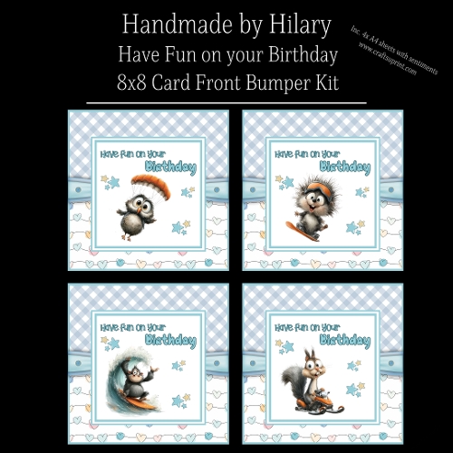 Have Fun on your Birthday - 8x8 Card Fronts
