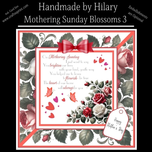 Mothering Sunday Blossoms - 3