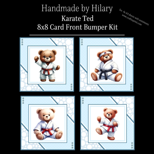Karate Ted - 8x8 Card Fronts