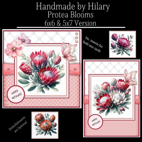Protea Blooms - 6x6 and 5x7 Version