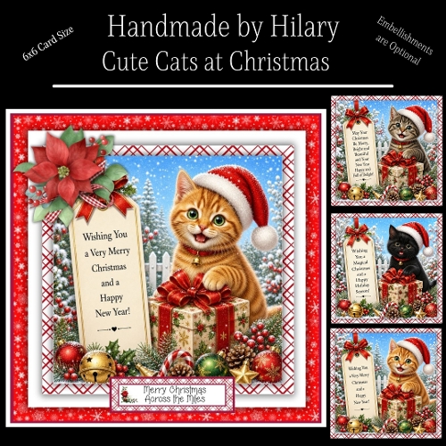 Cute Cats at Christmas