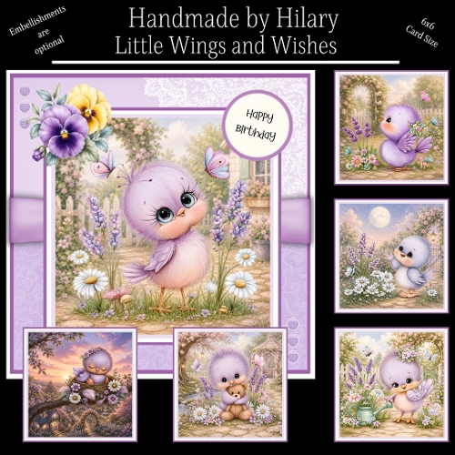 Little Wings and Wishes