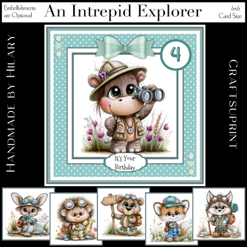 An Intrepid Explorer