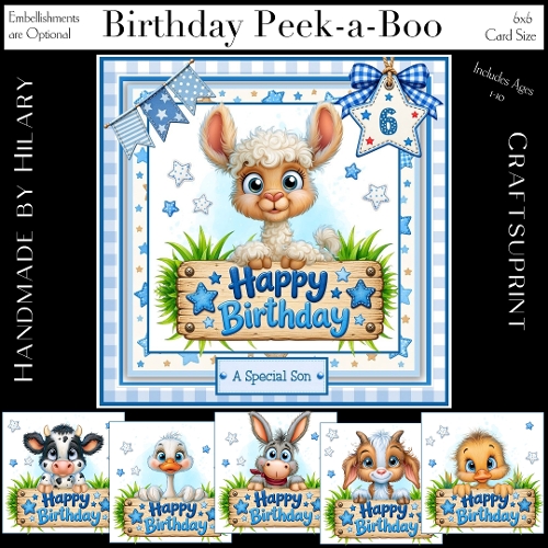 Birthday Peek-a-Boo